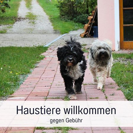 Seezeit Ferienwohnungen & Seminarhaus Am Ammersee Dießen am Ammersee Exterior foto