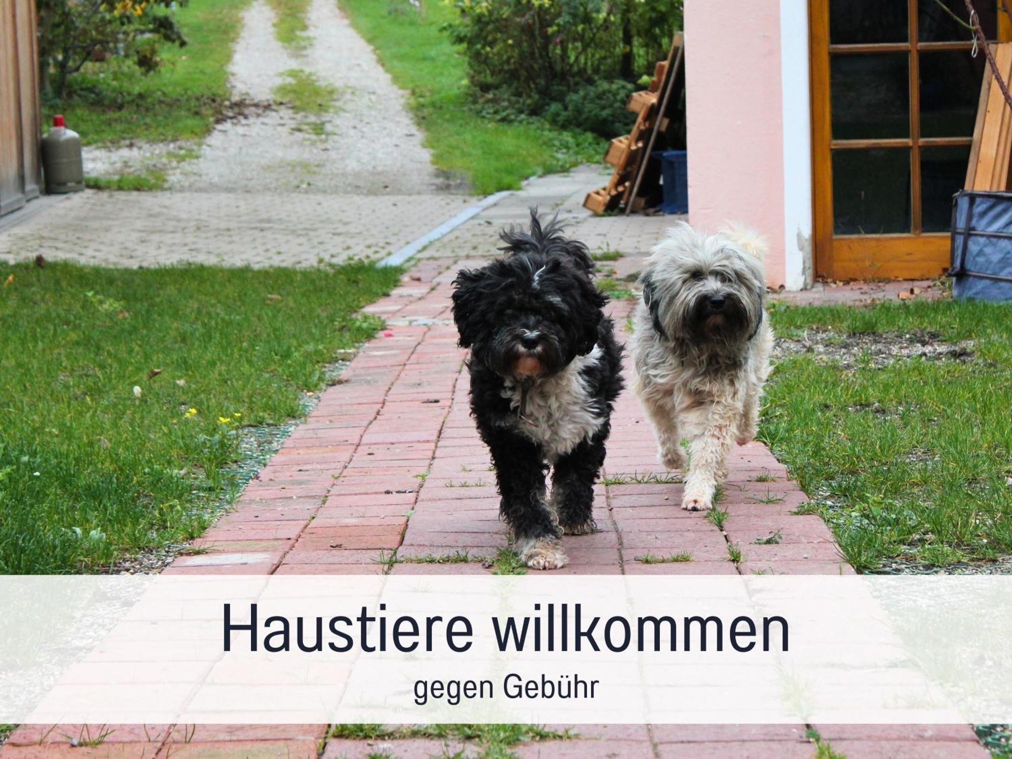 Seezeit Ferienwohnungen & Seminarhaus Am Ammersee Dießen am Ammersee Exterior foto
